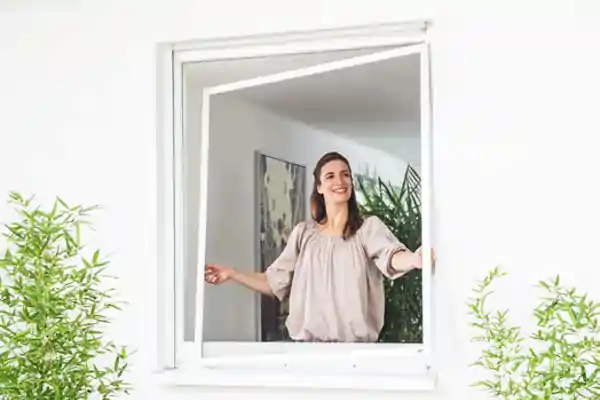Offenes weißes Fenster mit eingesetztem Insektenschutz-Spannrahmen. Eine Person steht dahinter und hält den Rahmen mit beiden Händen an den Seiten fest. Im Hintergrund sind eine Pflanze und ein Bild an der Wand zu sehen.