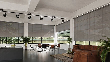 Helles Wohnzimmer mit großen Fenstern, MHZ Rolo Sichtschutz in Grau, braunes Ledersofa, Esstisch mit Stühlen und grünen Pflanzen.